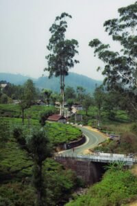 Hill roads of the Nilgiris