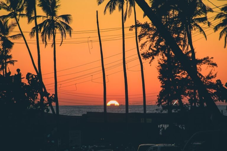Palm-fringed sunsets, Goa